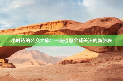 小时诗的公交之旅：一段引爆全球关注的新旅程