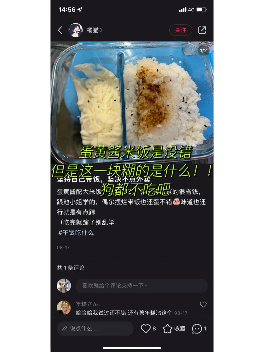 《桥下饭事：一场意外的慈善秀》