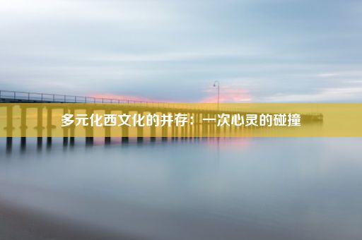 多元化西文化的并存：一次心灵的碰撞