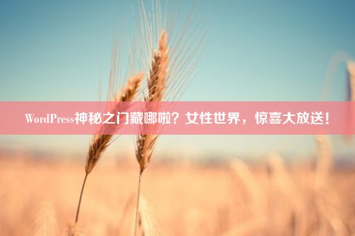 WordPress神秘之门藏哪啦？女性世界，惊喜大放送！