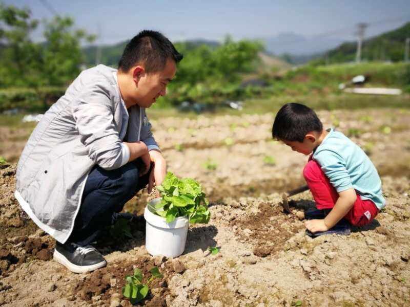 新星替耕亩田：男性行业的女性风采