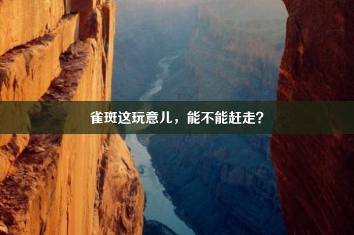 雀斑这玩意儿，能不能赶走？