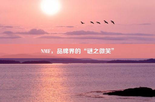 NMF，品牌界的“谜之微笑”