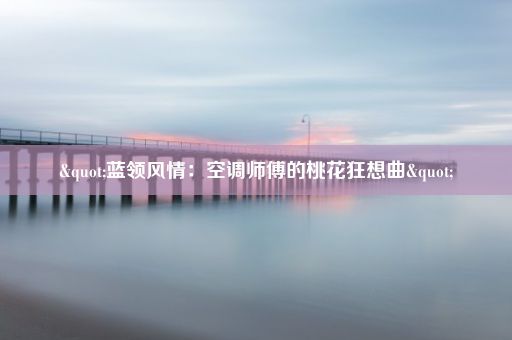 "蓝领风情：空调师傅的桃花狂想曲"