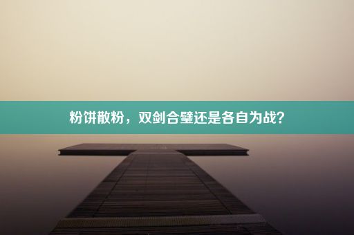 粉饼散粉，双剑合璧还是各自为战？