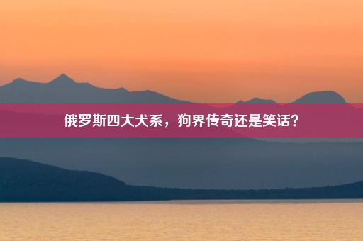 俄罗斯四大犬系，狗界传奇还是笑话？