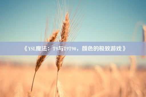 《YSL魔法：T9与T9T90，颜色的极致游戏》