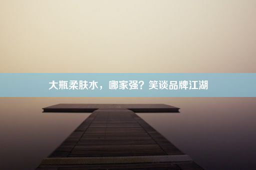 大瓶柔肤水，哪家强？笑谈品牌江湖