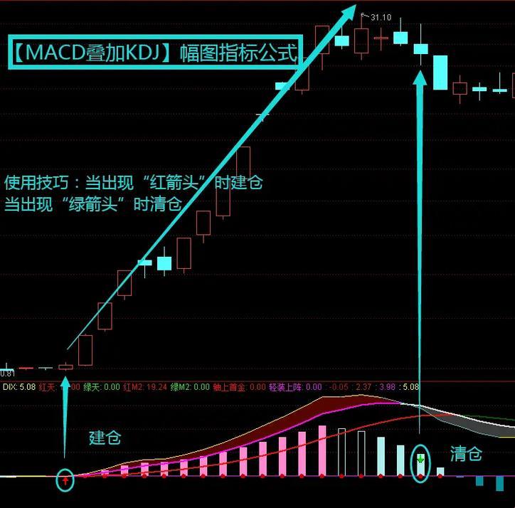 “MACD新现象，女性视角下的股市‘时尚风向标’”