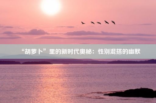 “胡萝卜”里的新时代奥秘：性别混搭的幽默