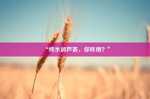 “纯水润芦荟，你咋用？”