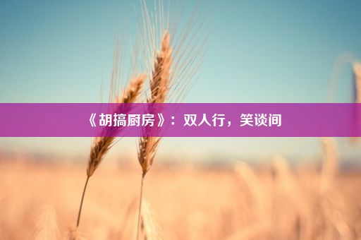 《胡搞厨房》：双人行，笑谈间