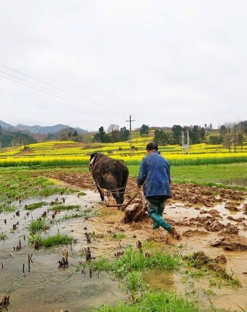 奋蹄拓土，女子力量崛起