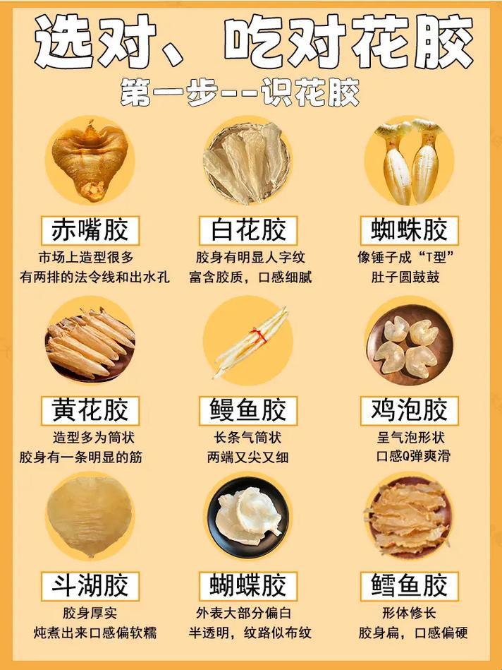 《人马奇缘：胶配秘方，直播界的“黑马”传奇》