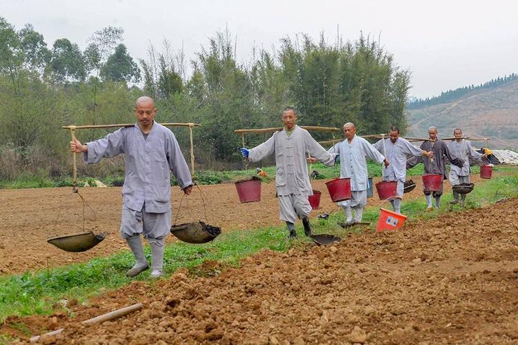 "燕氏寺庙播种"：潮流界的神秘力量