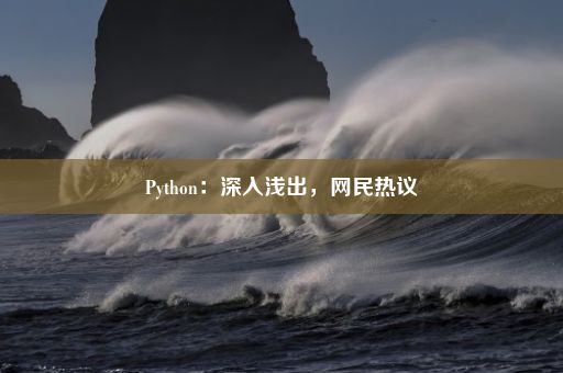 Python：深入浅出，网民热议