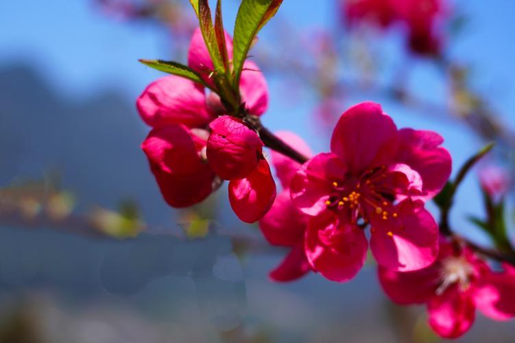 《花妖娘子，时代翘楚》：一份女性版的幽默独白