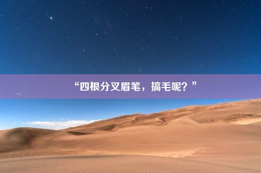 “四根分叉眉笔，搞毛呢？”