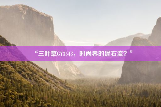 “三叶草GY3543，时尚界的泥石流？”