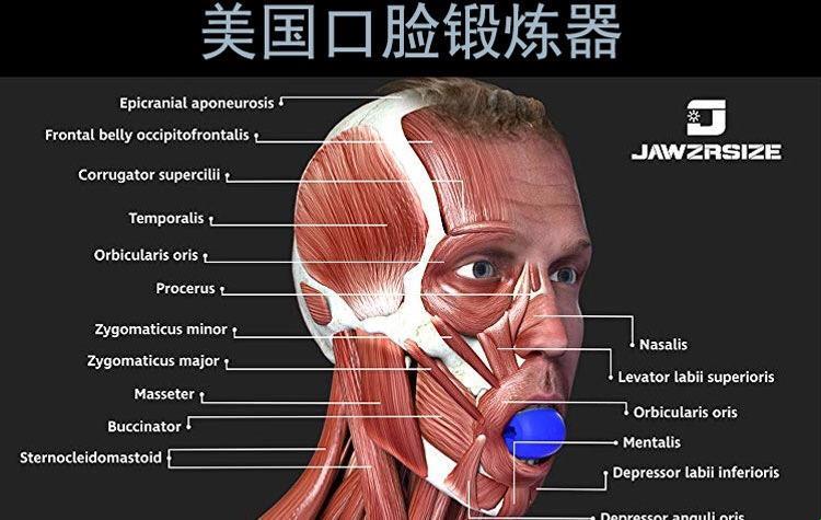 空嚼神技，锻炼咬肌的幽默之旅