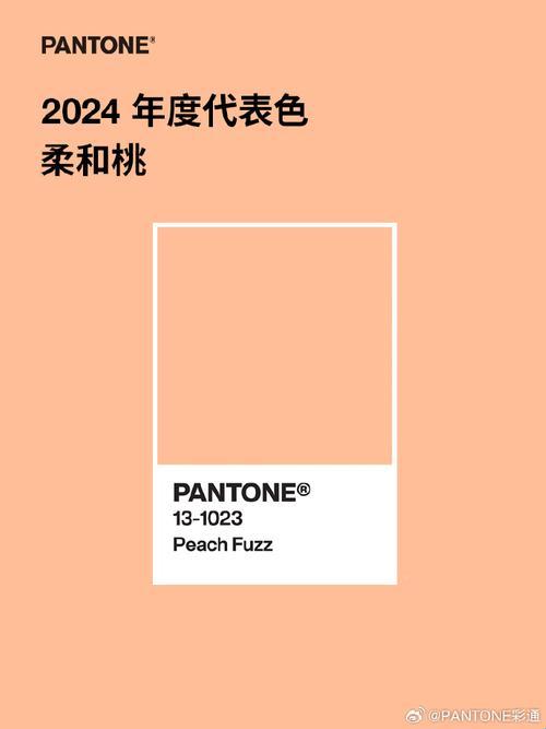 2024，颜色的潮流战局