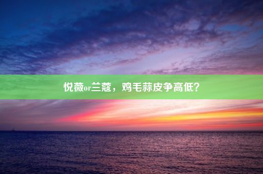 悦薇or兰蔻，鸡毛蒜皮争高低？