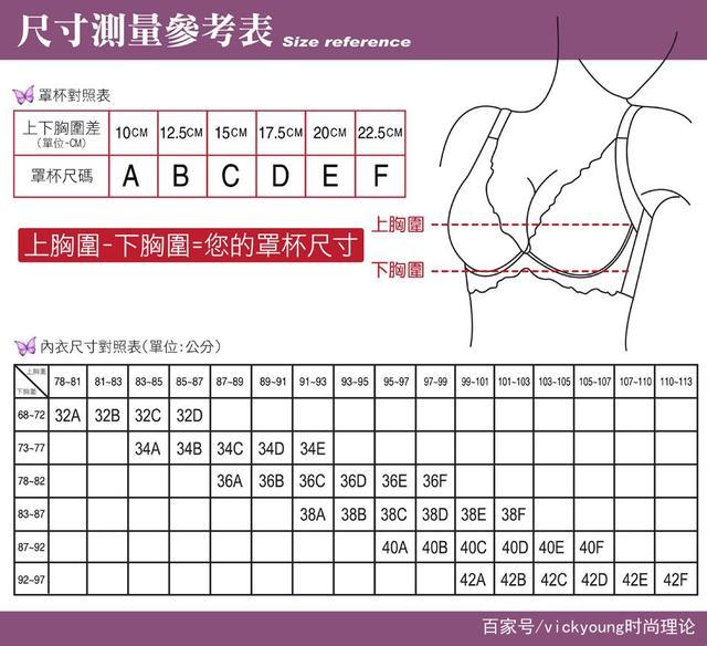 “杯罩”狂想曲：时尚界的胸围迷思