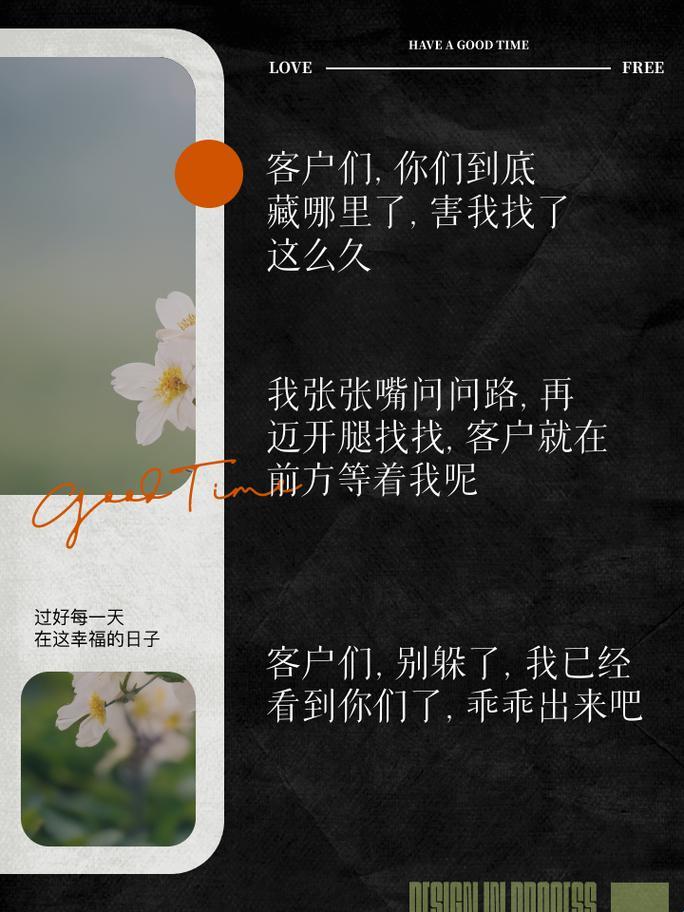 女子江湖，嘴腿并用——趣谈网络新焦点