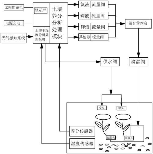 “灌溉女神”应照离，挥洒田畴界的突飞猛进