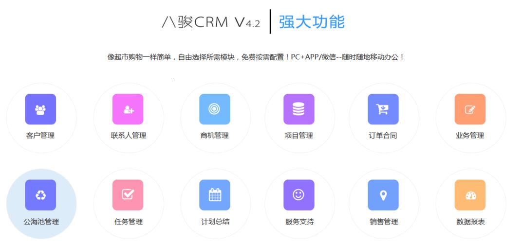 成免费CRM.www九幺：潮流引领者的另类独白