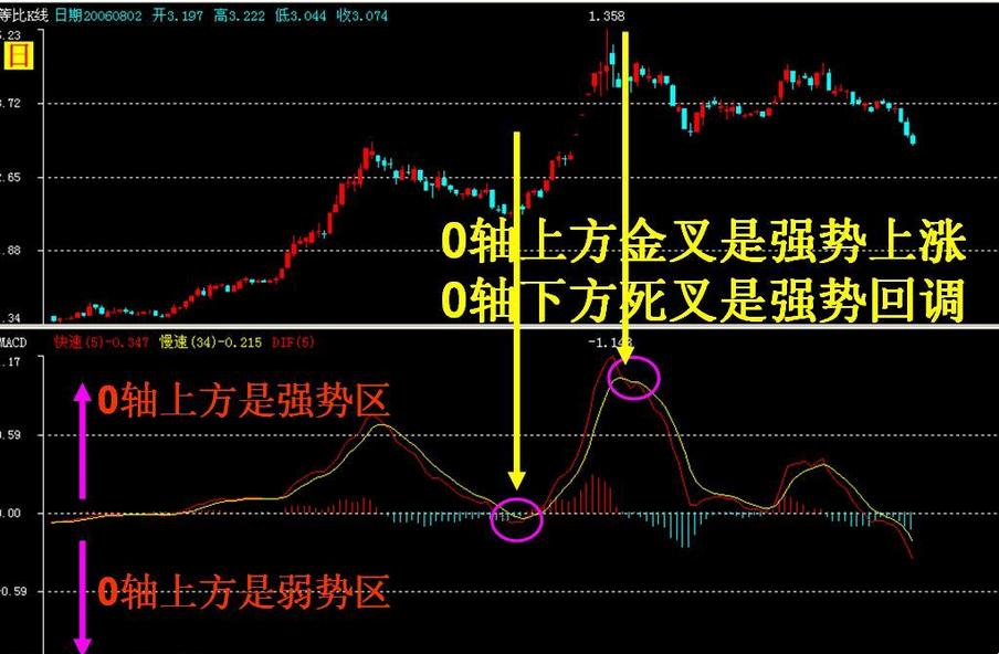 MACD画笔魅力四溢，女性市场热情燃点攻略