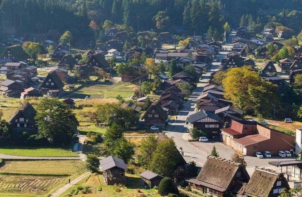 乡野间的换伴游戏：日本乡下的趣闻引发的网上狂欢